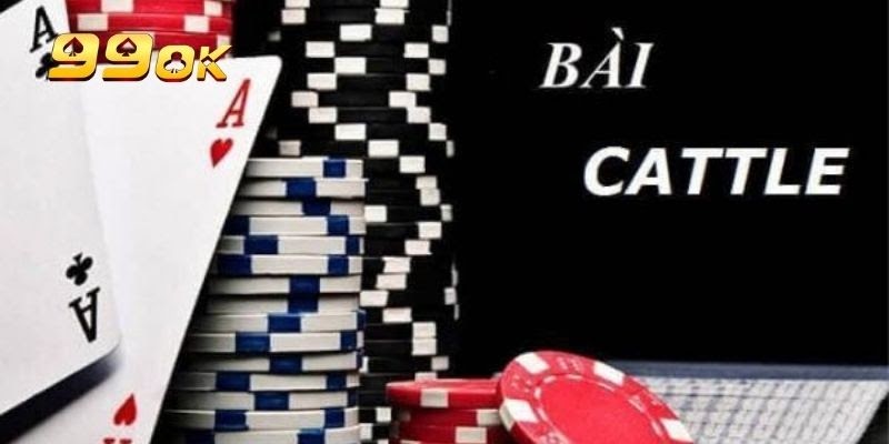 Giới thiệu tổng quan những đặc điểm chính bài Catte